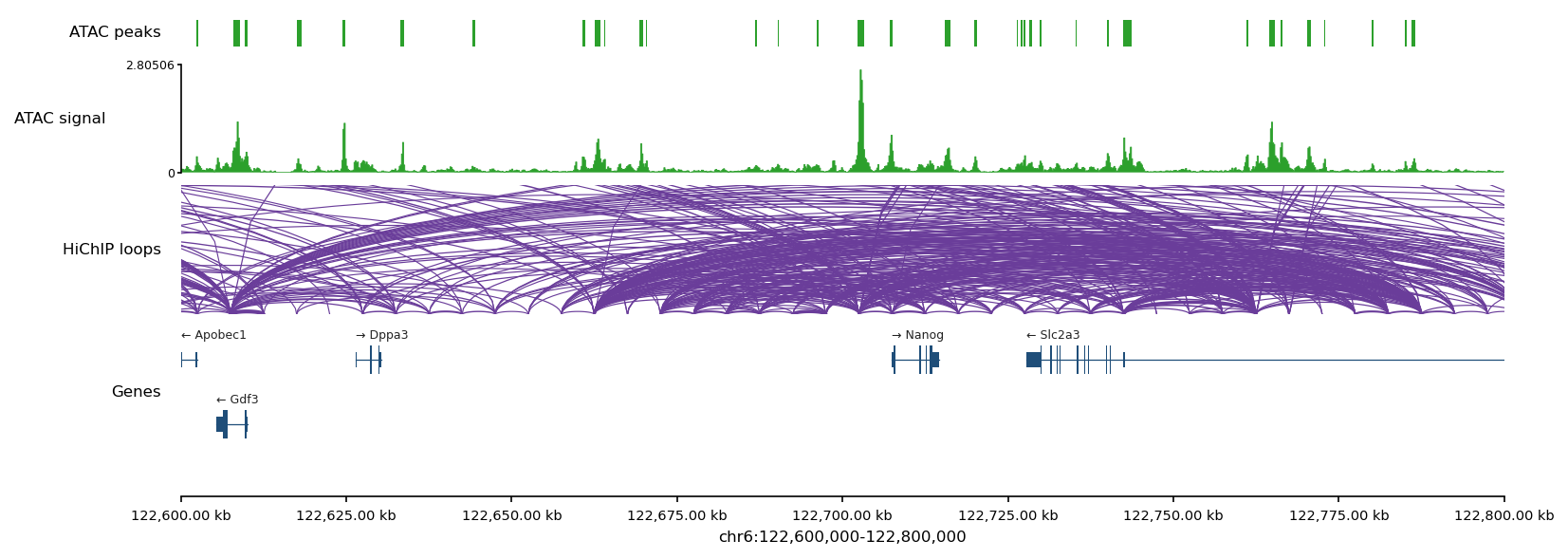 Nanog-locus browser render